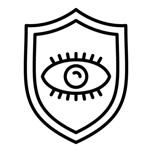 Security Vision Icon