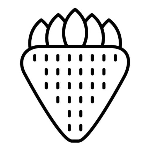 Strawberry Icon