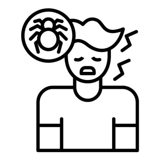 Fear Of Spiders Icon