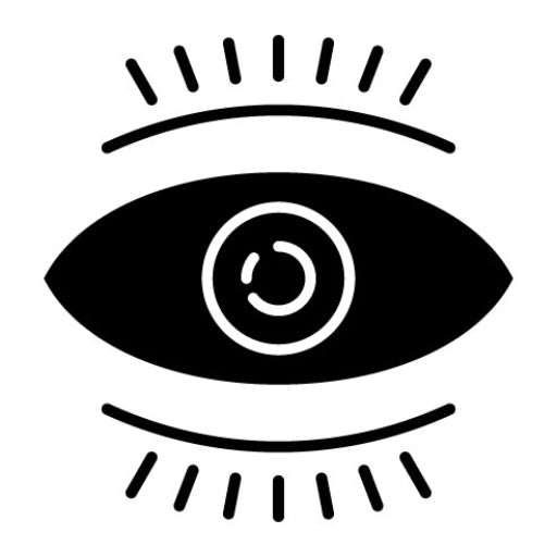 Vision Glyph Icon | Research and Science