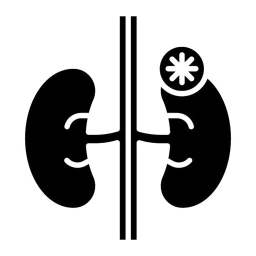 Adrenal Glands Glyph Icon
