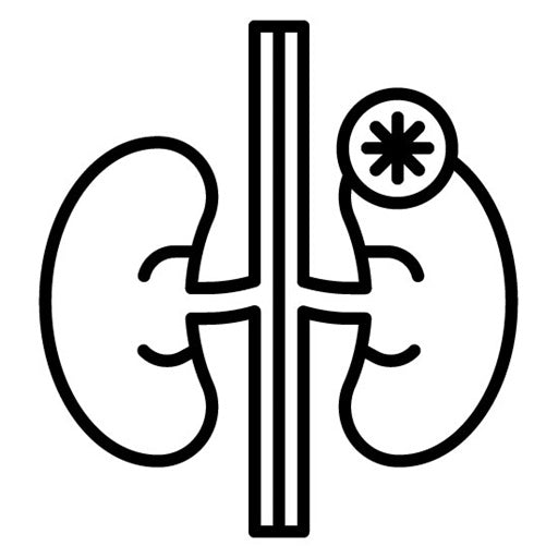 Adrenal Glands Icon