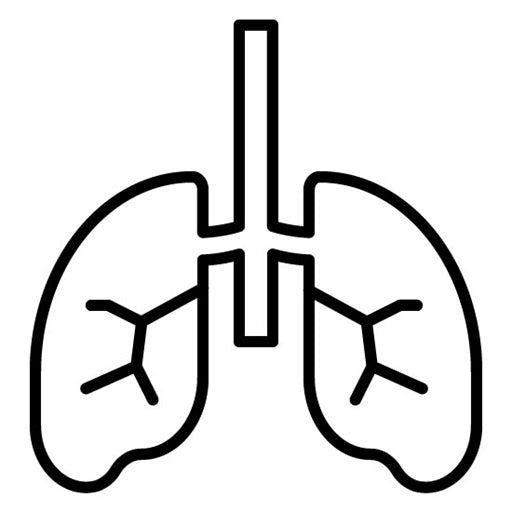 Alveoli Icon