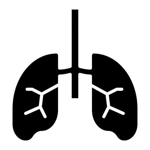 Alveoli Glyph Icon