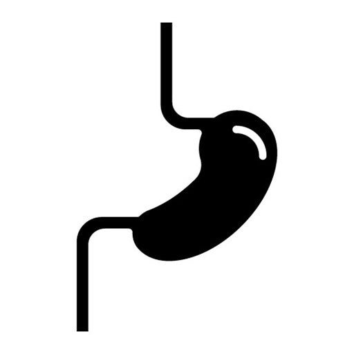 Esophagus Glyph Icon