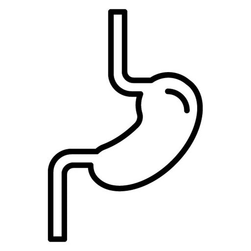 Esophagus Icon
