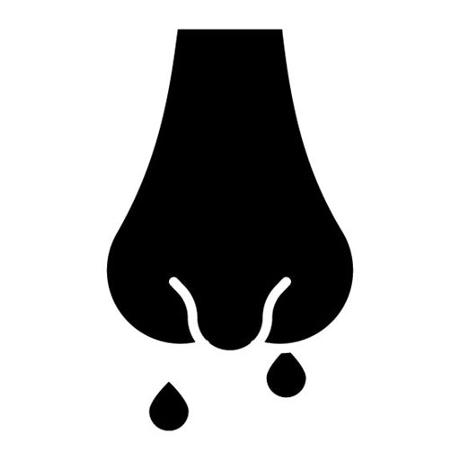 Nasal Cavity Glyph Icon