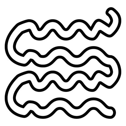 Small Intestine Icon – Flexycon