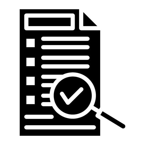 Audit Glyph Icon | Quality Assurance