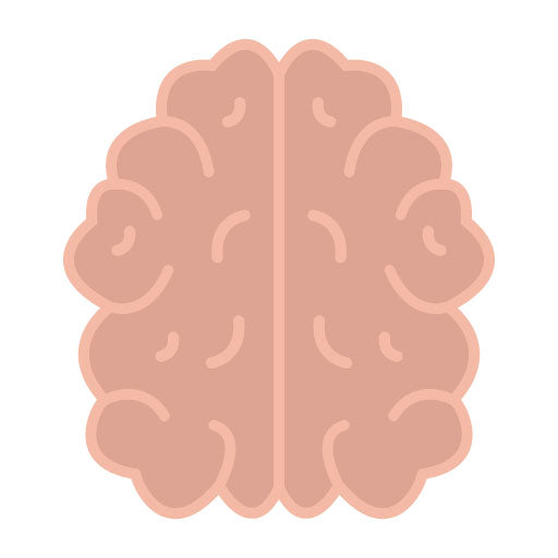 Brain Flat Icon