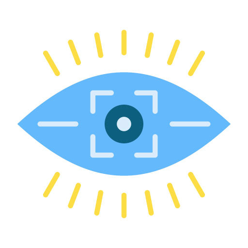 Vision Flat Icon