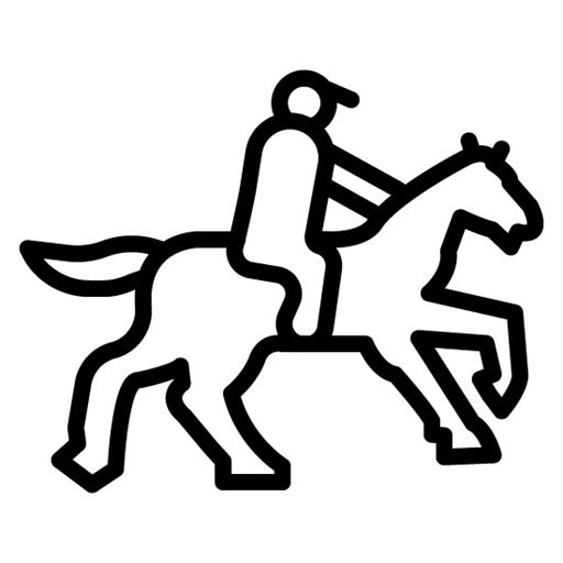 Siena Horse Race Icon