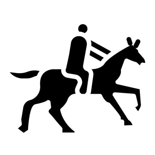 Siena Horse Race Glyph Icon