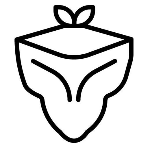 Bandana Icon