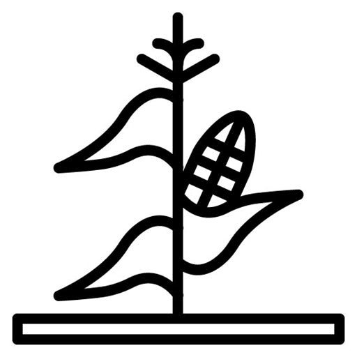 Cornstalks Icon