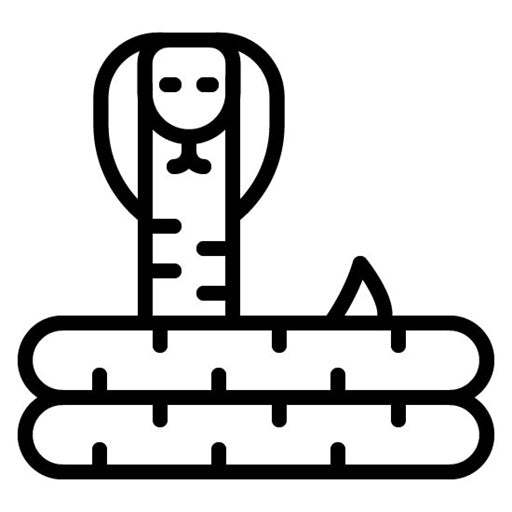 Cobra Icon