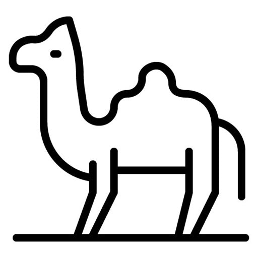 Dromedary Icon