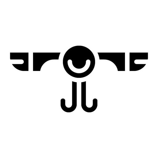 Winged Sun Glyph Icon