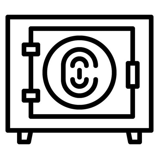 Biometric Safety Box Icon