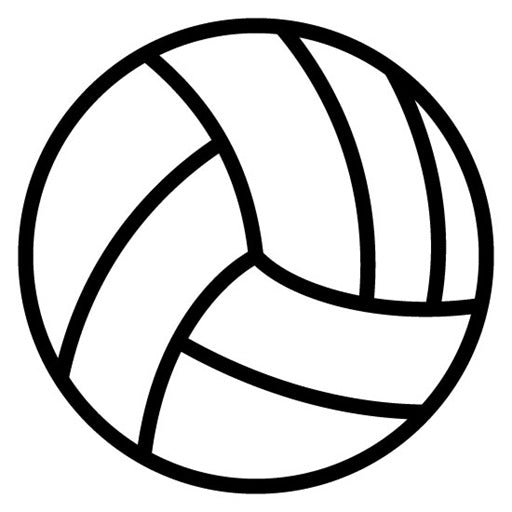 Volley Ball Icon