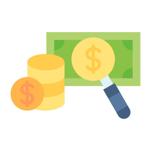 Loupe Money Flat Icon