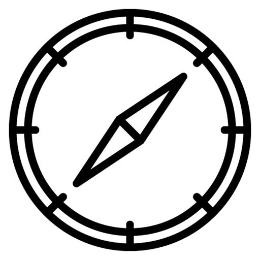Safari Icon