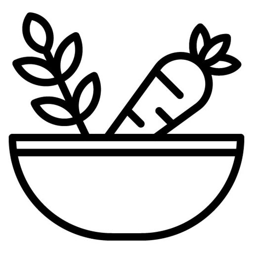 Natural Food Icon