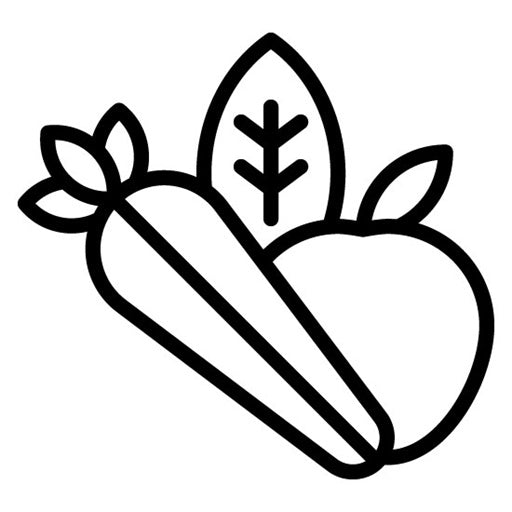 Organic Food Icon
