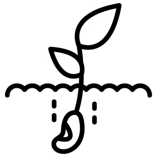 Seedling Icon