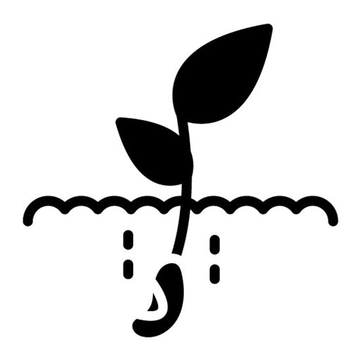 Seedling Glyph Icon