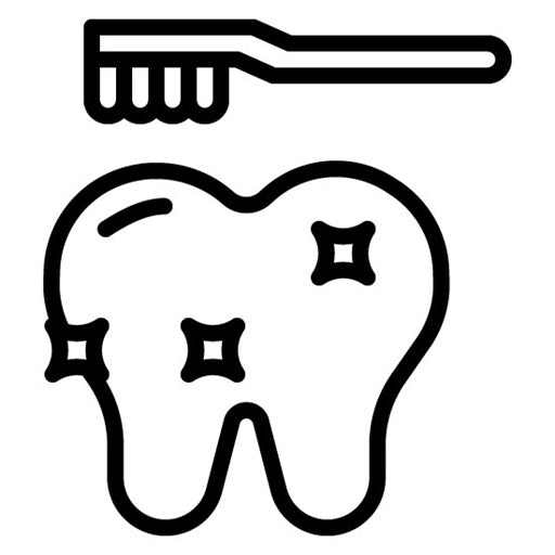 Dental Cleaning Icon | Veterinary