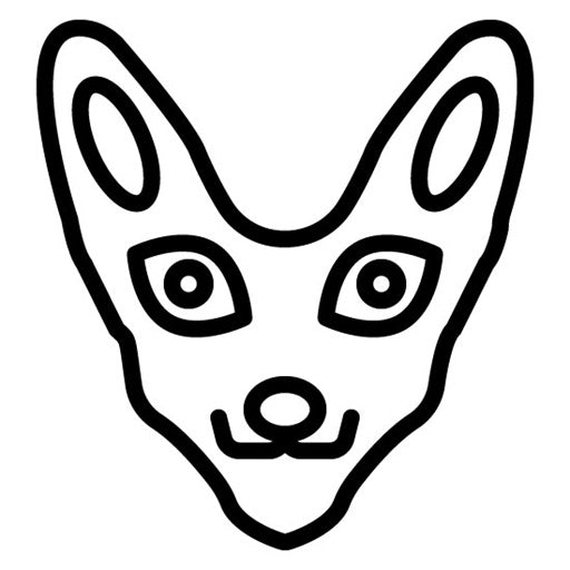 Fennec Fox Icon | Rainforest