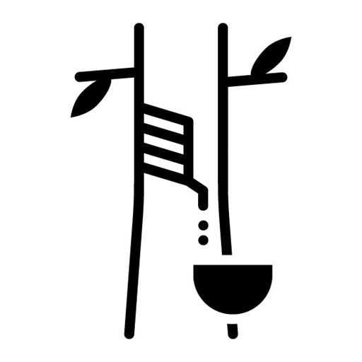 Rubber Tree Glyph Icon | Rainforest