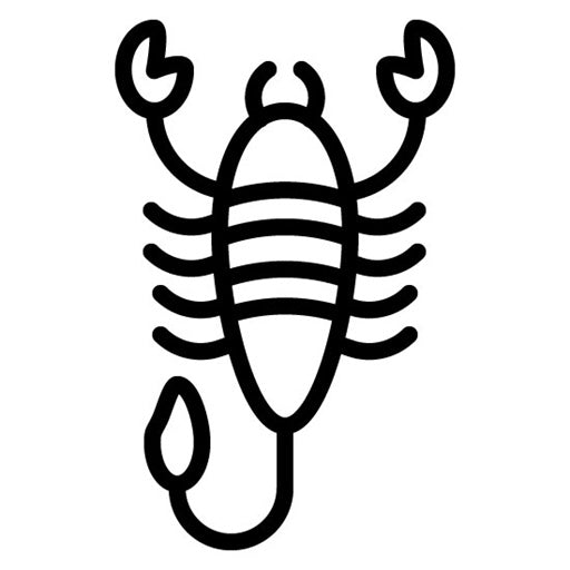 Scorpion Icon | Rainforest