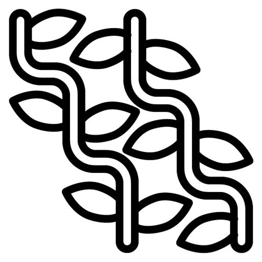 Vines Icon