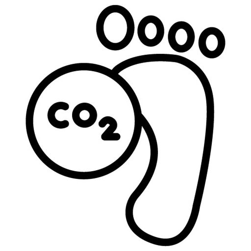 Carbon Footprint Icon | Global Warming
