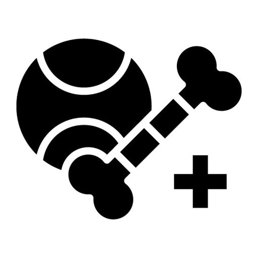 Automated Pet Toys Glyph Icon