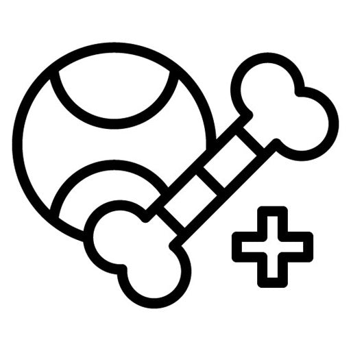 Automated Pet Toys Icon