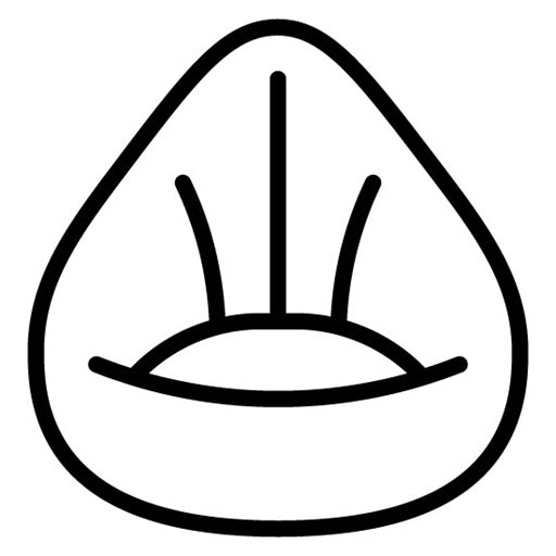 Beanbag Icon
