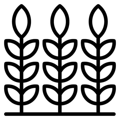 Grains Icon
