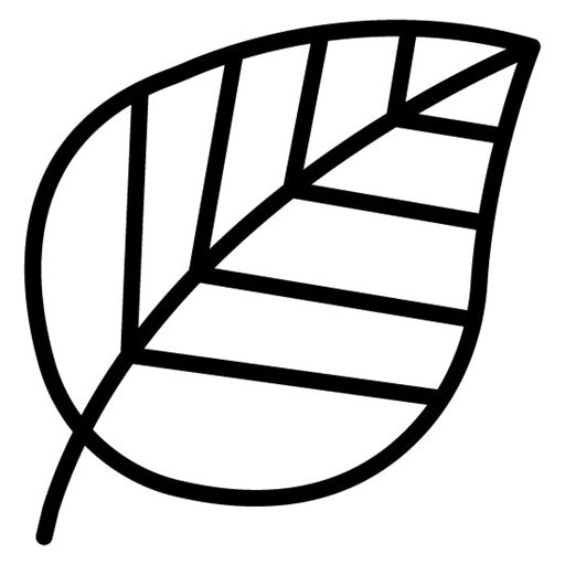 Leaf Icon