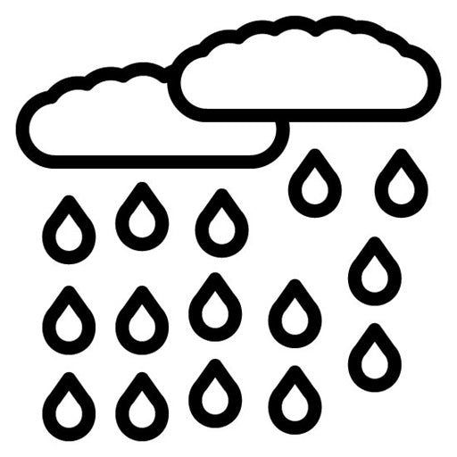 Raining Icon
