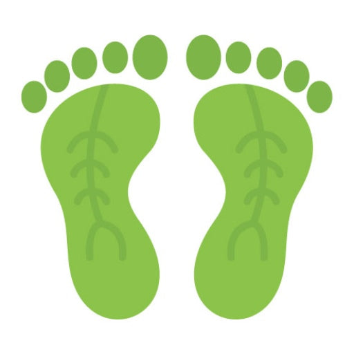 Carbon Footprint Flat Icon