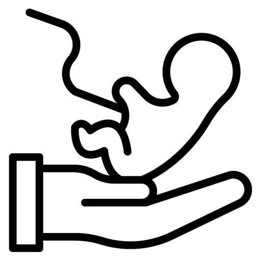 Childbirth Icon