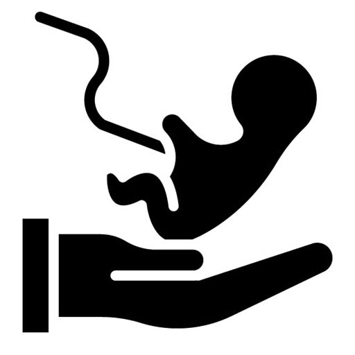 Childbirth Glyph Icon