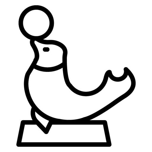 Seal Circus Icon