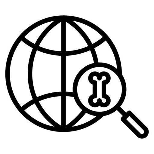 Archeology Icon