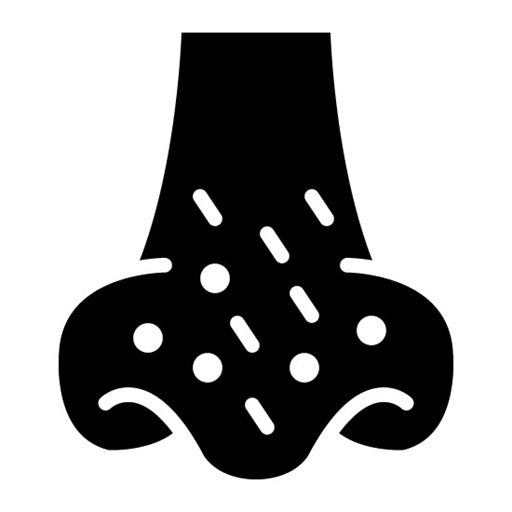Blackhead Glyph Icon | Dermatology