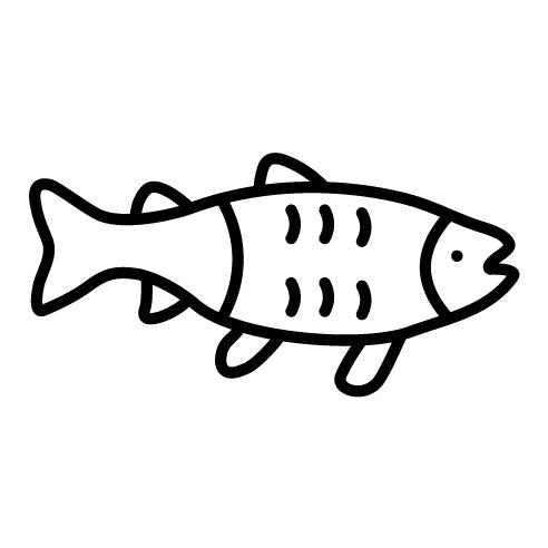 Salmon Icon