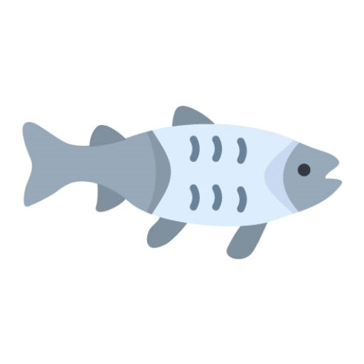 Salmon Flat Icon